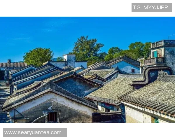 拿加科普与河内的较量探秘两座城市的文化与发展之路